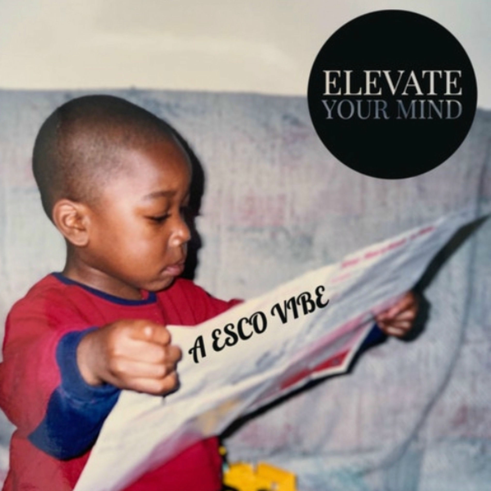 Album cover of ELEVATE YOUR MIND