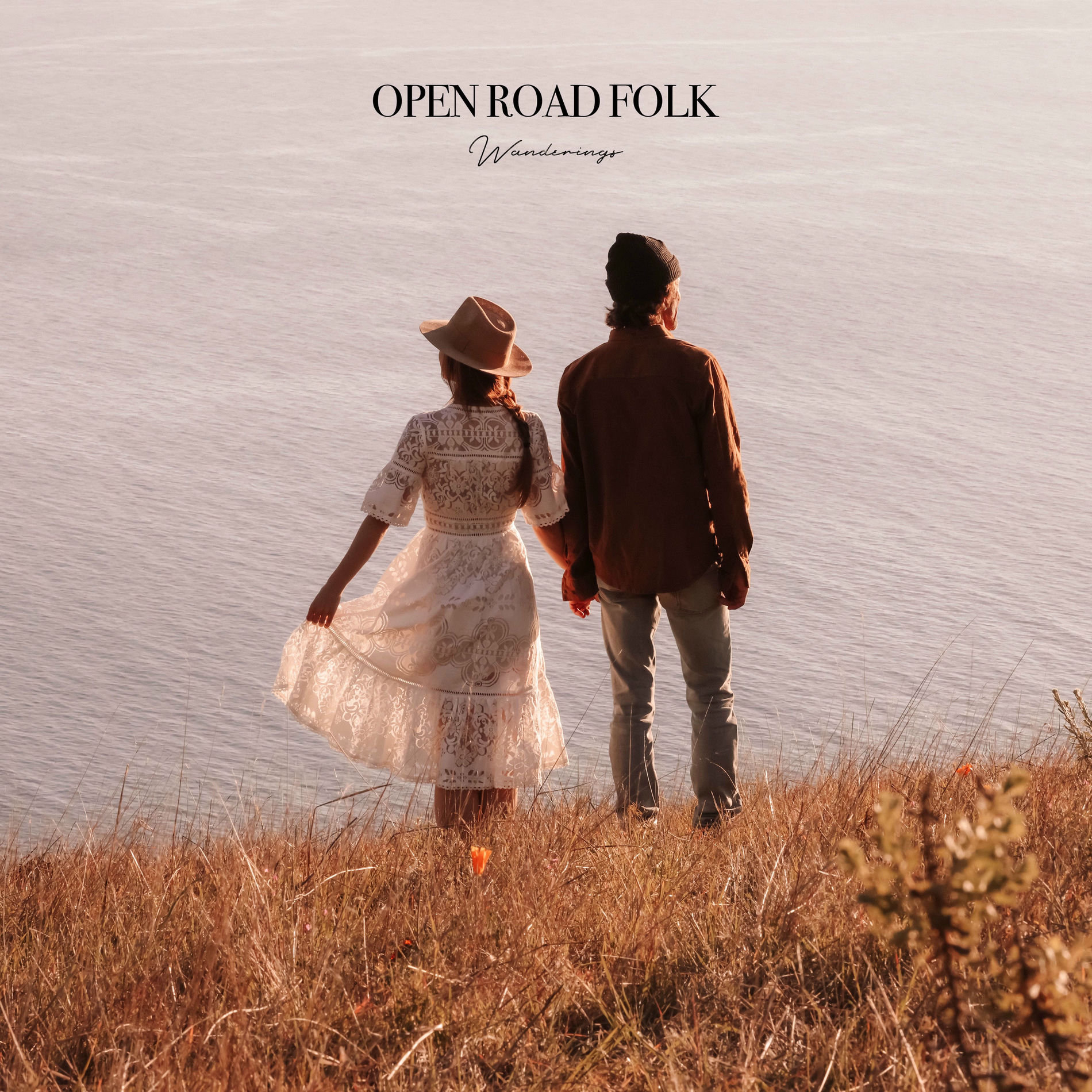 Album cover of Wanderings