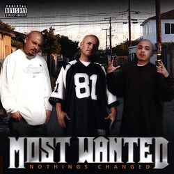 Cover of Nothings Changed