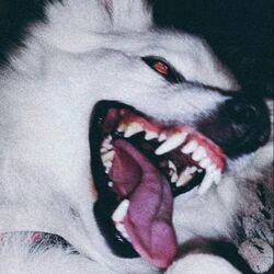 EGO_MODE_