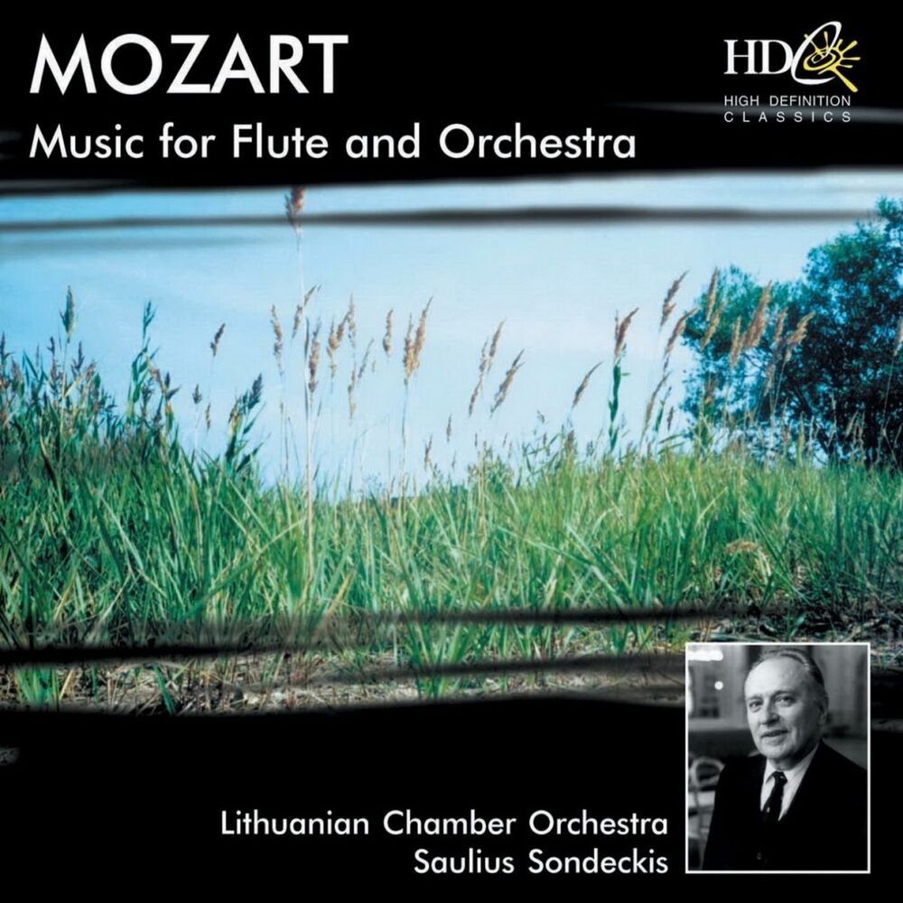 Picture of Music for Flute and Orchestra