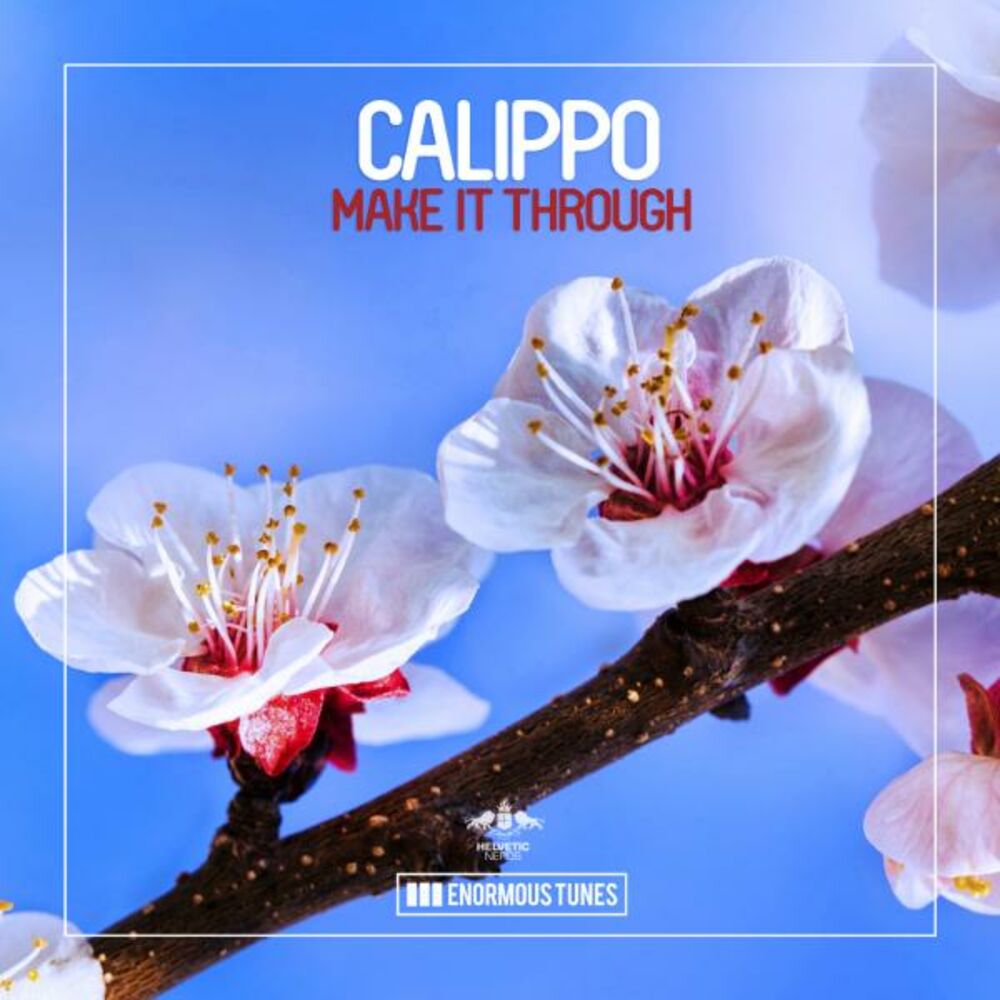 Picture of Make It Through