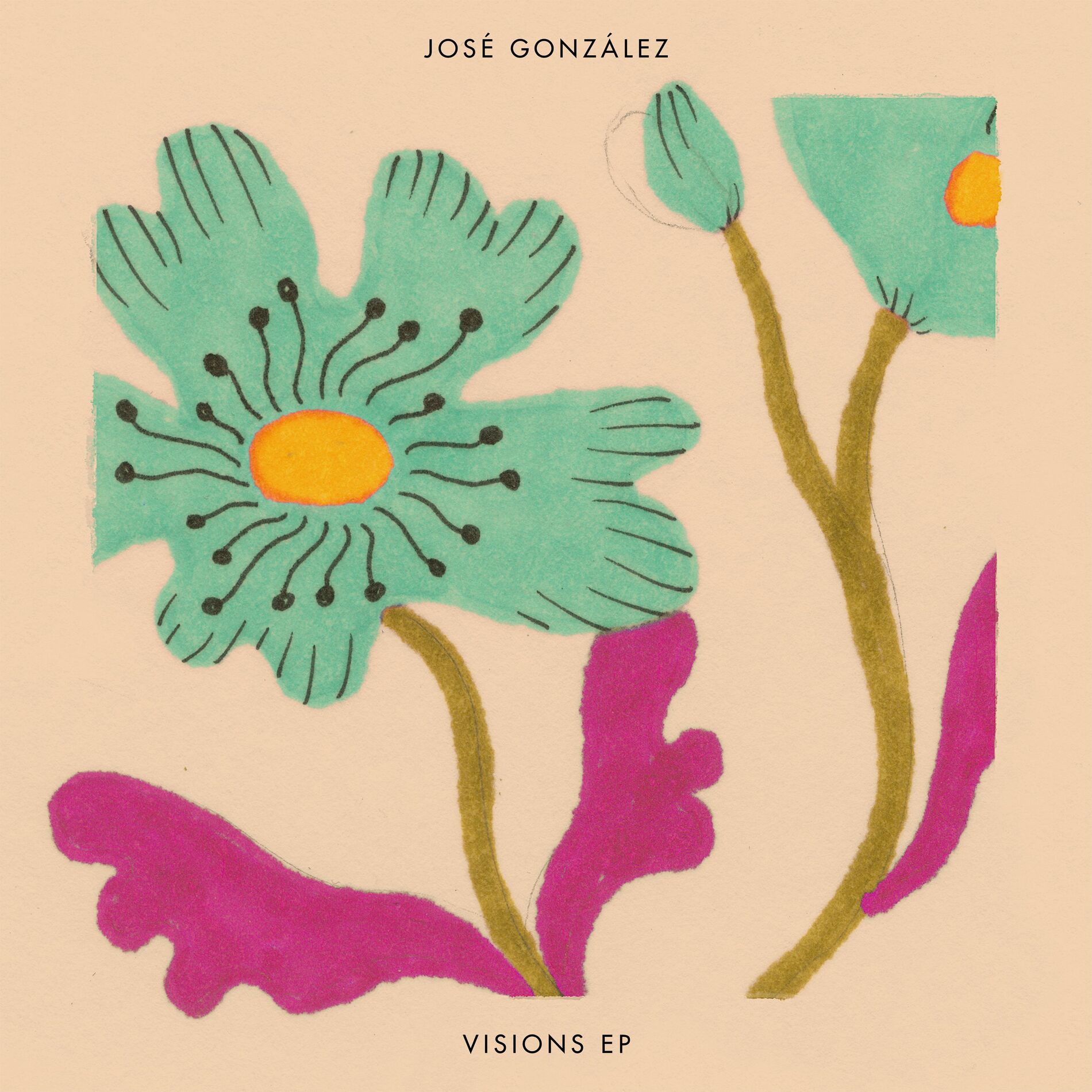 Album cover of Visions EP