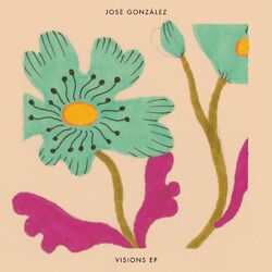 Cover of Visions EP