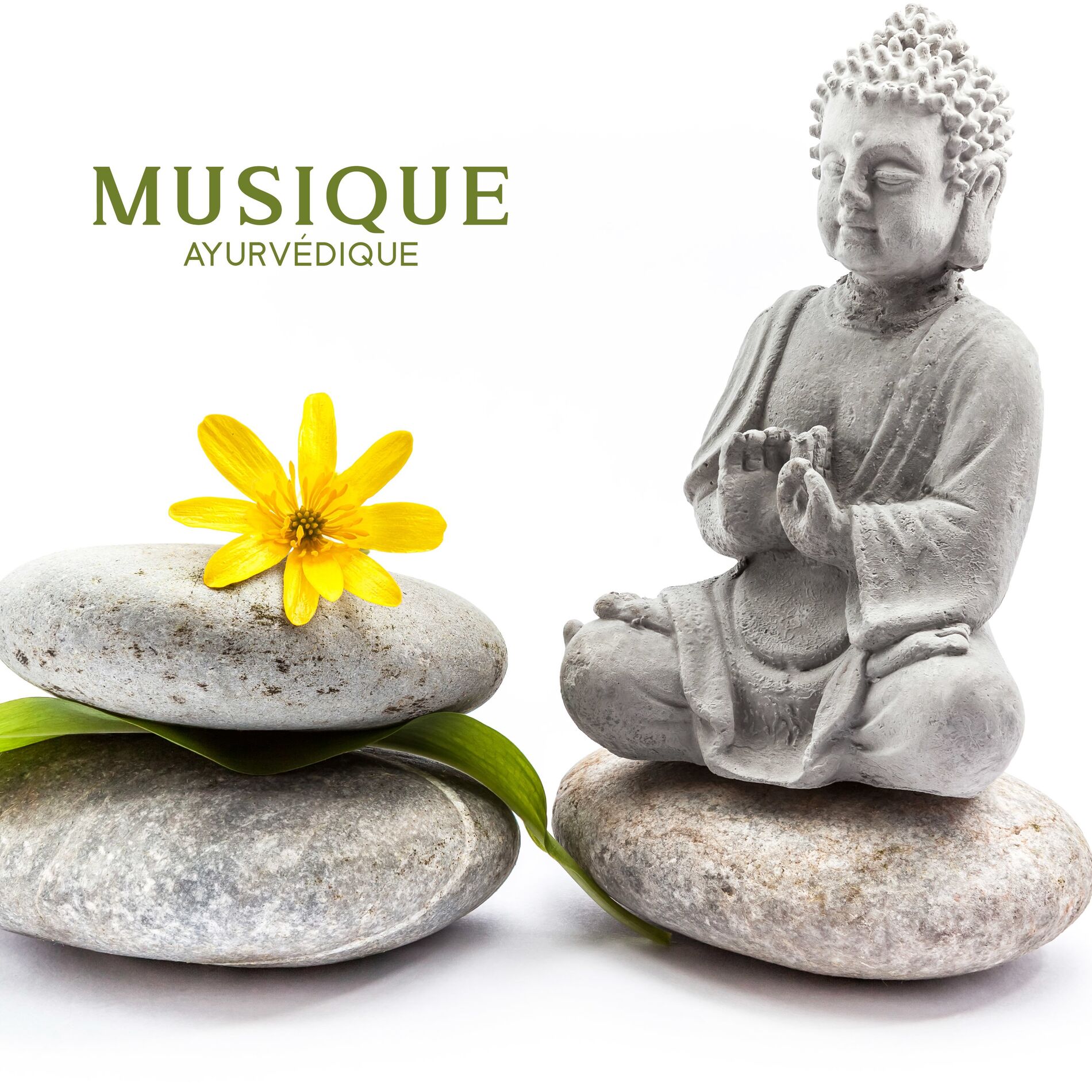 Album cover of Musique ayurvédique