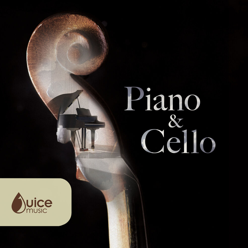 Picture of Piano and Cello