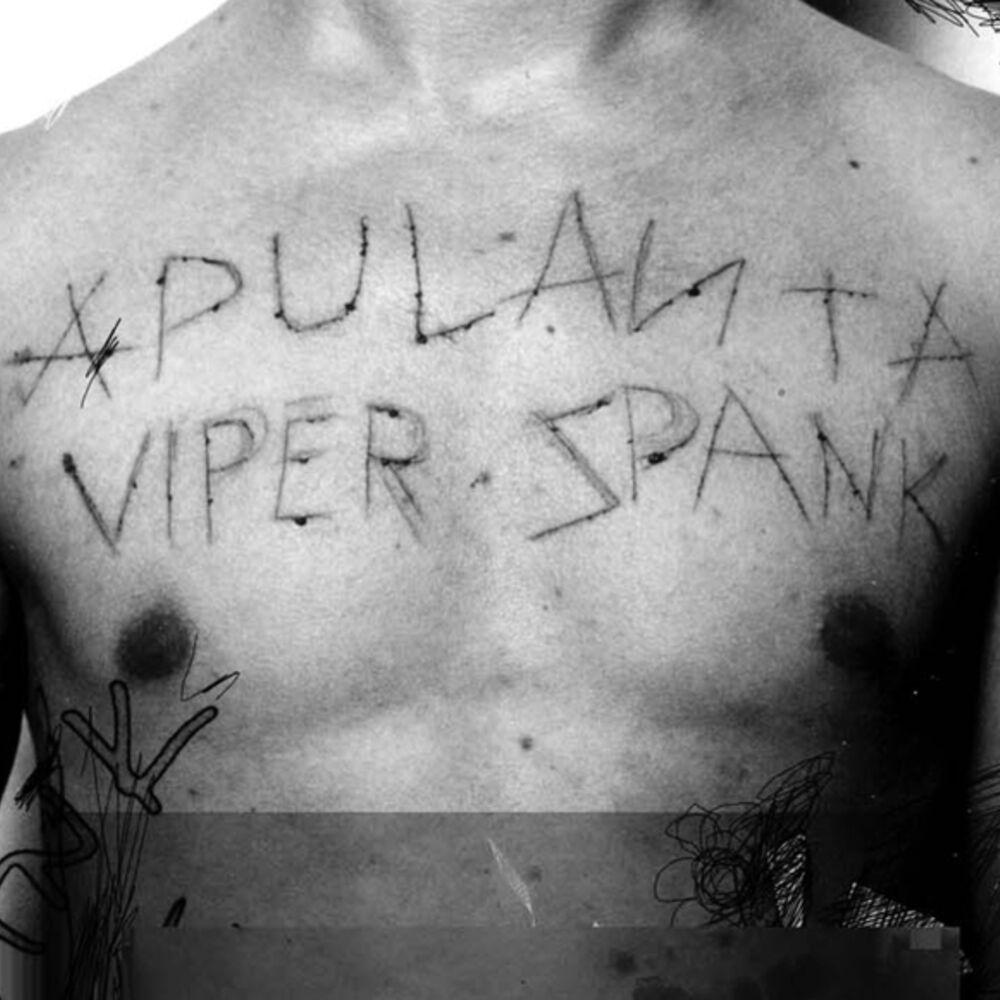 Picture of Viper Spank