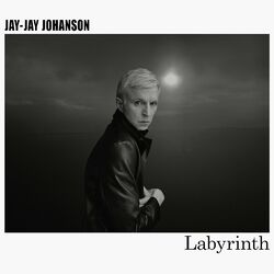 Cover of Labyrinth