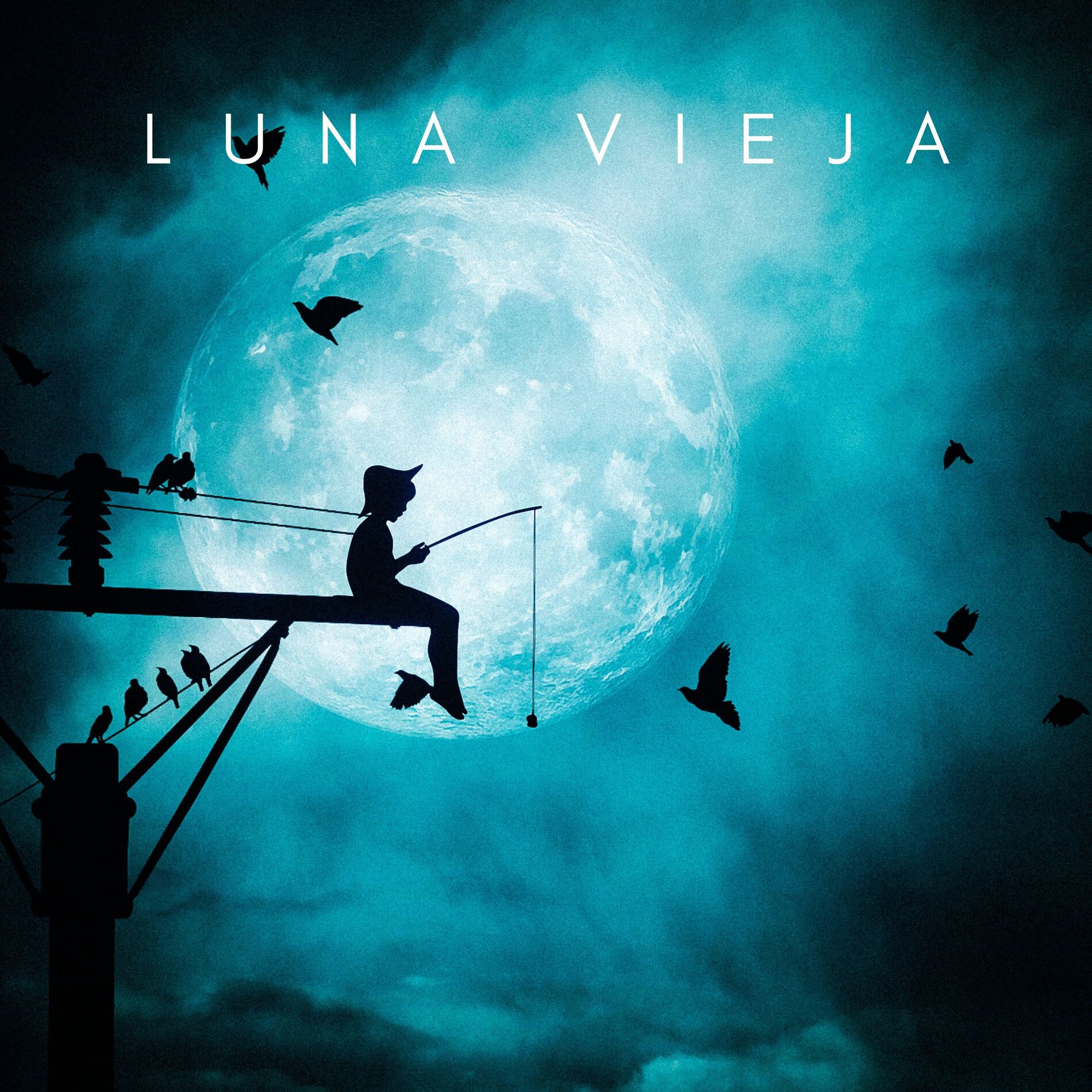 Album cover of Luna Vieja
