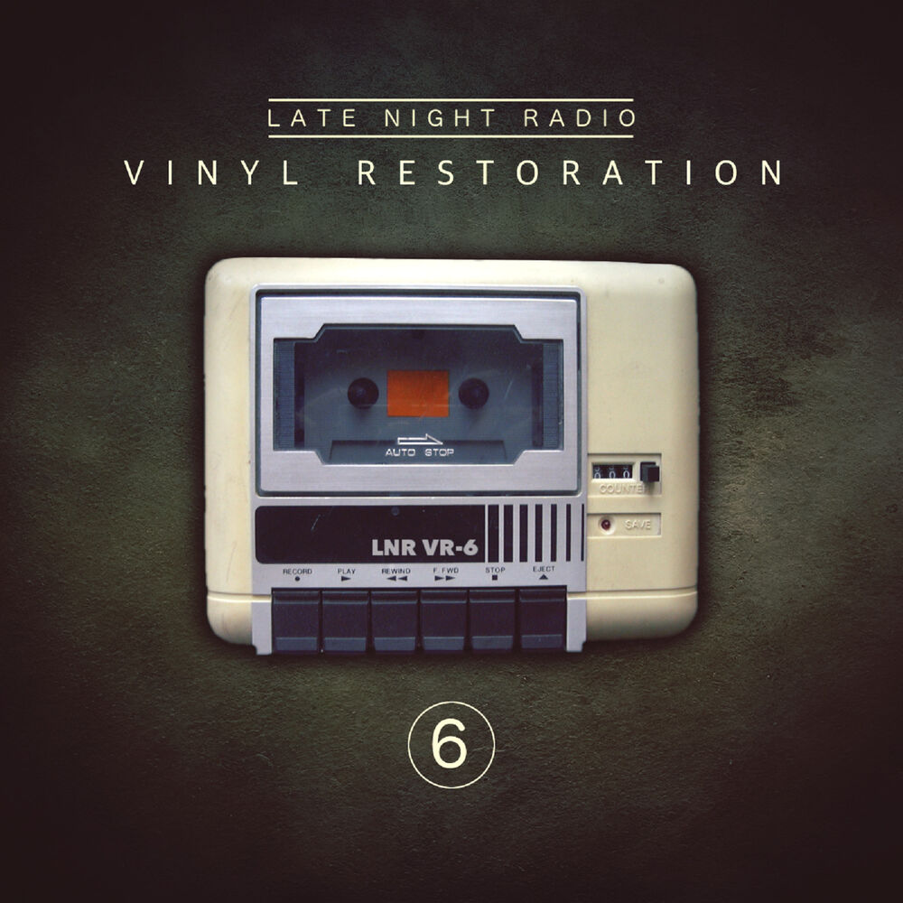 Picture of Vinyl Restoration, Vol. 6
