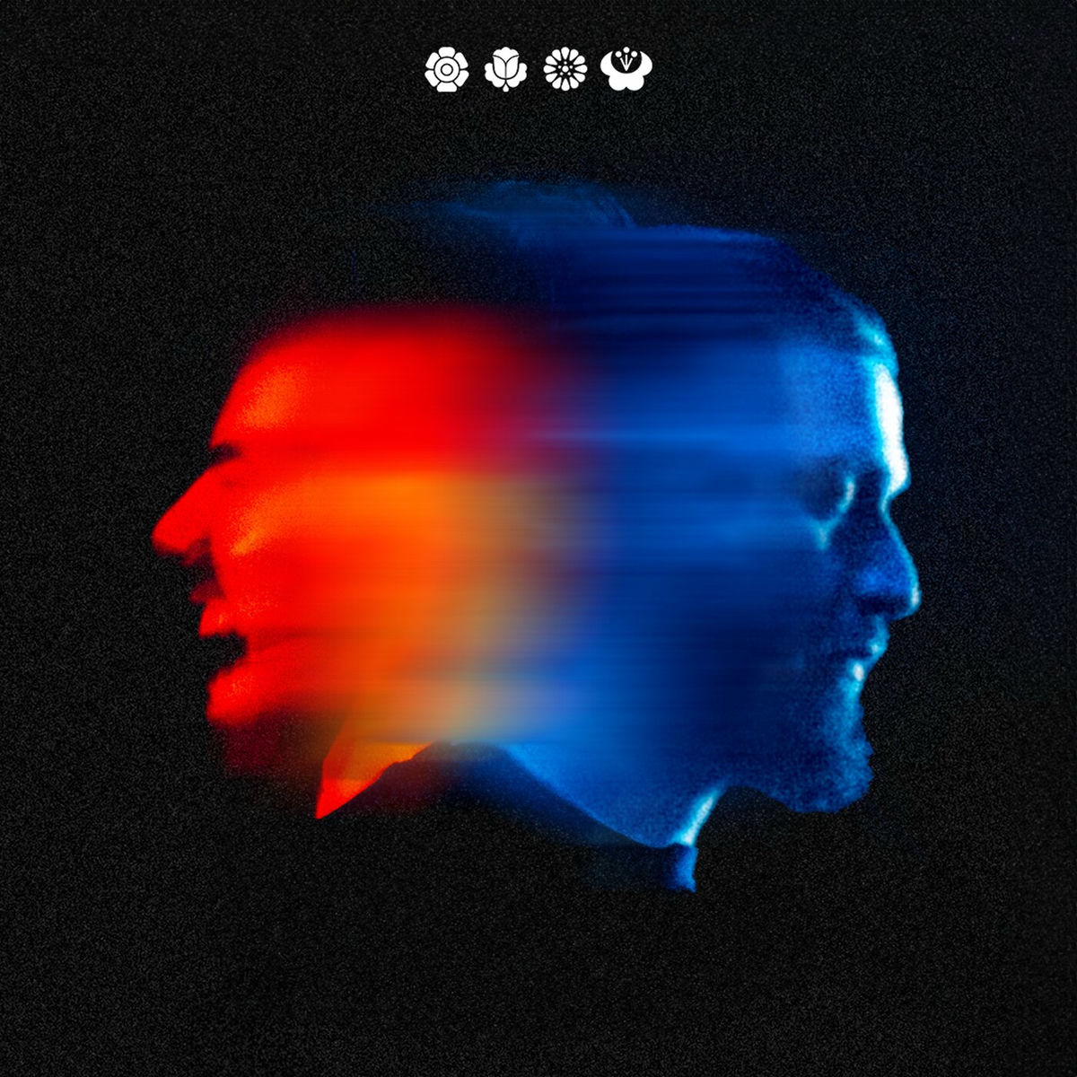 Album cover of fliegen.