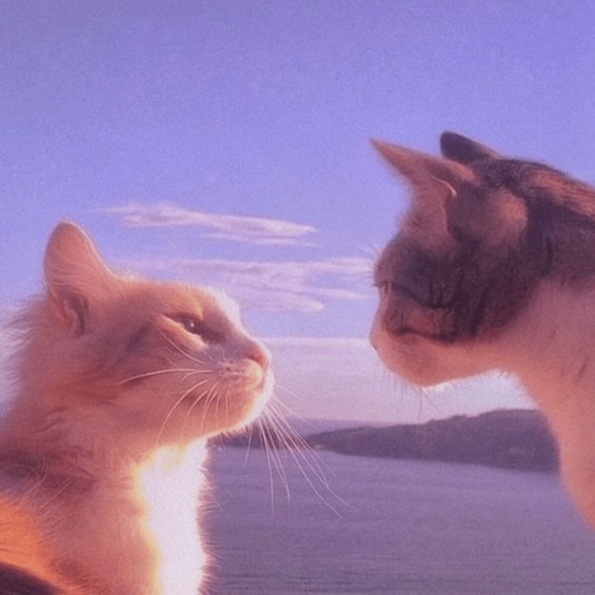 Album cover of Another Day in Paradise