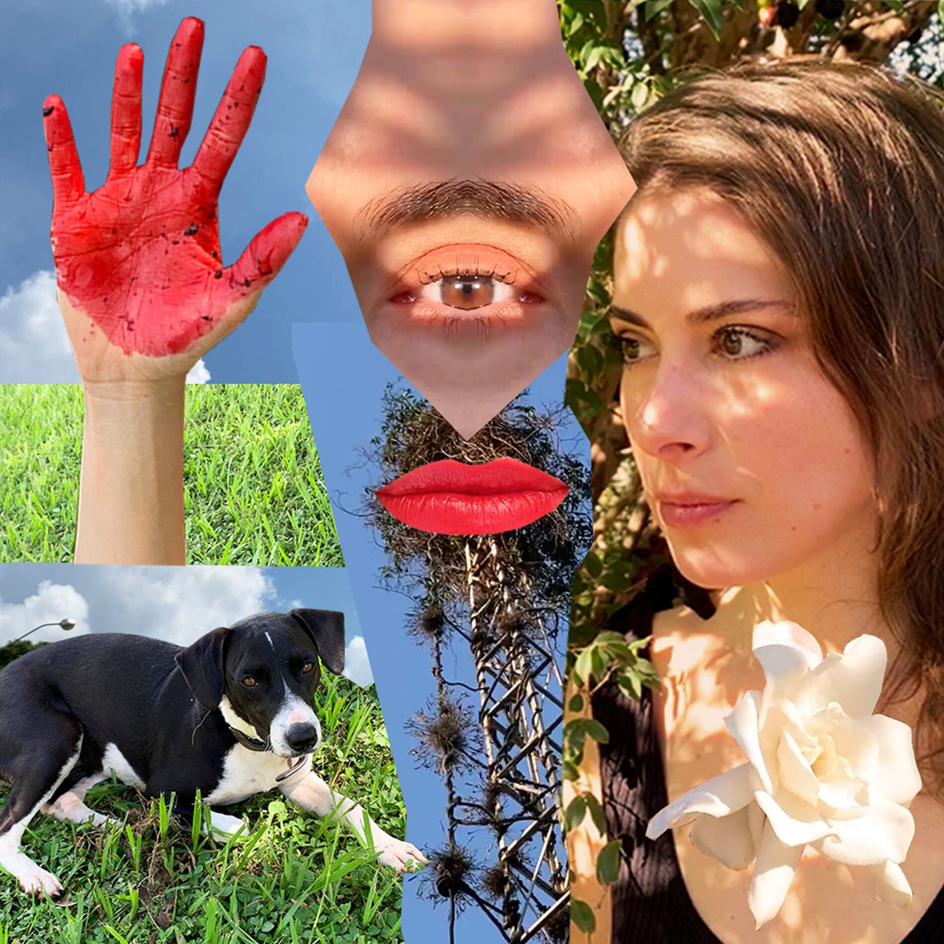 Album cover of Viver Sem Dó