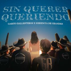Cover of Sin Querer Queriendo