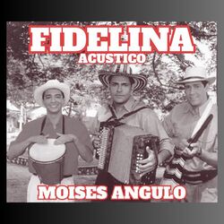 Cover of Fidelina Acustico