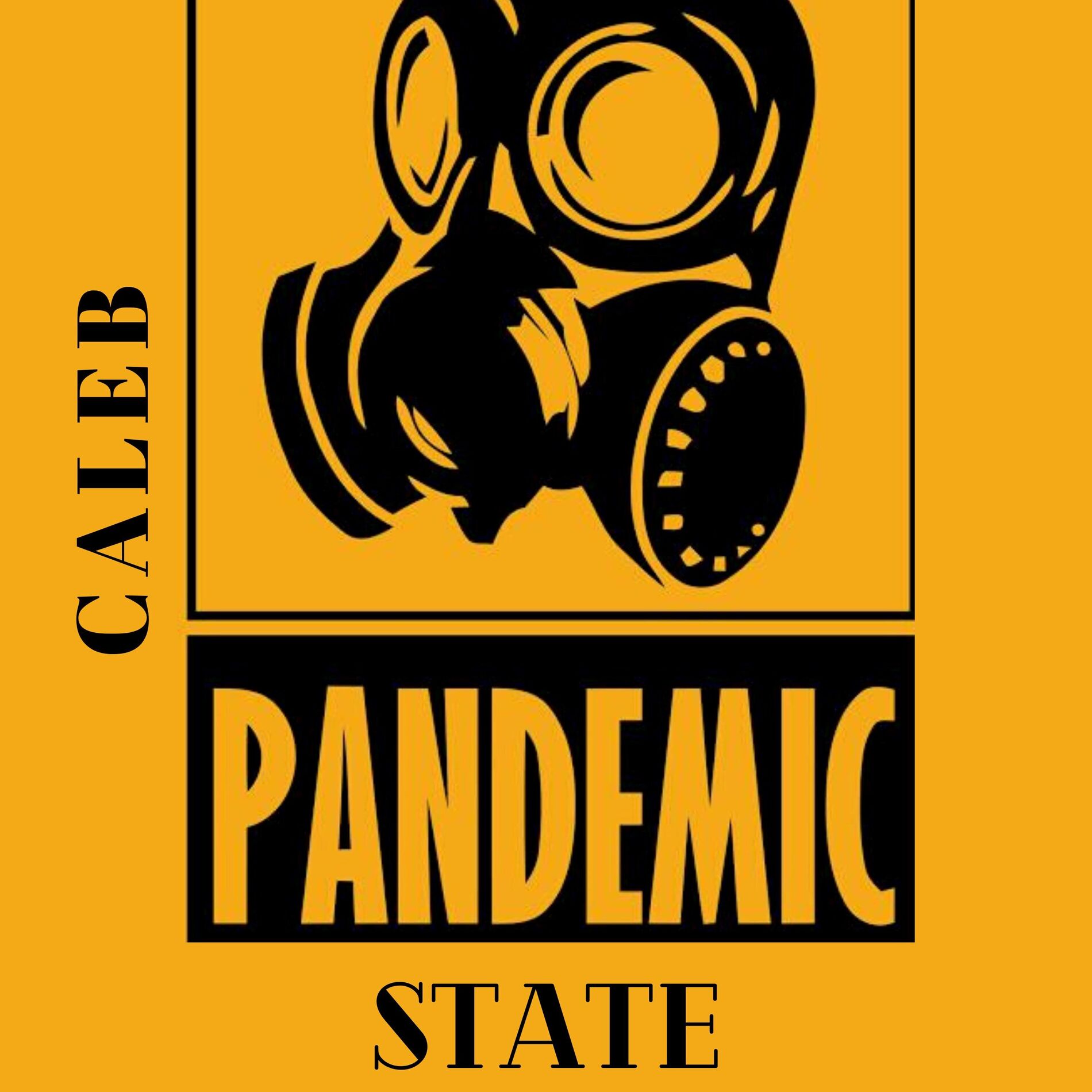 Album cover of Pandemic State