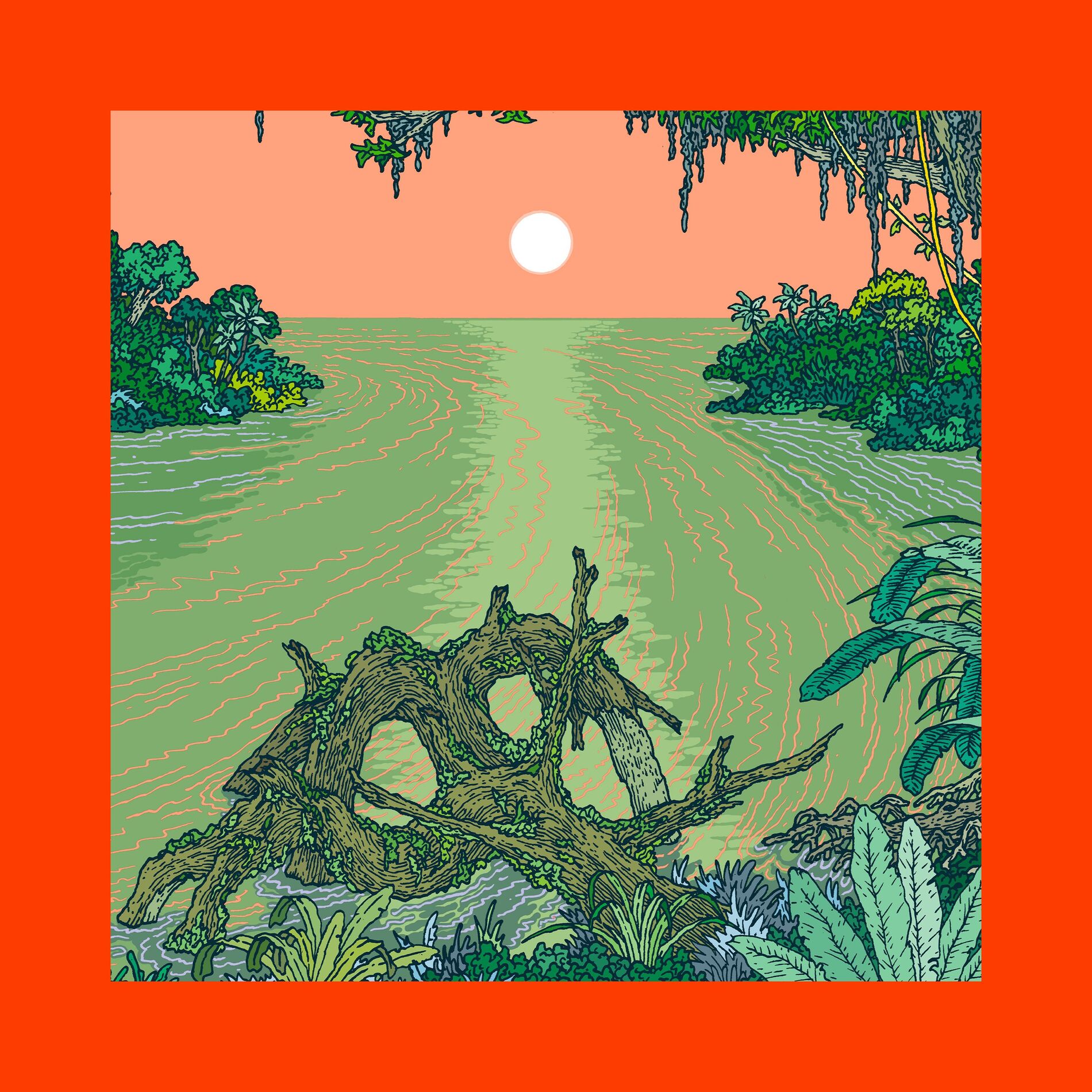 Album cover of Et S'éveillent