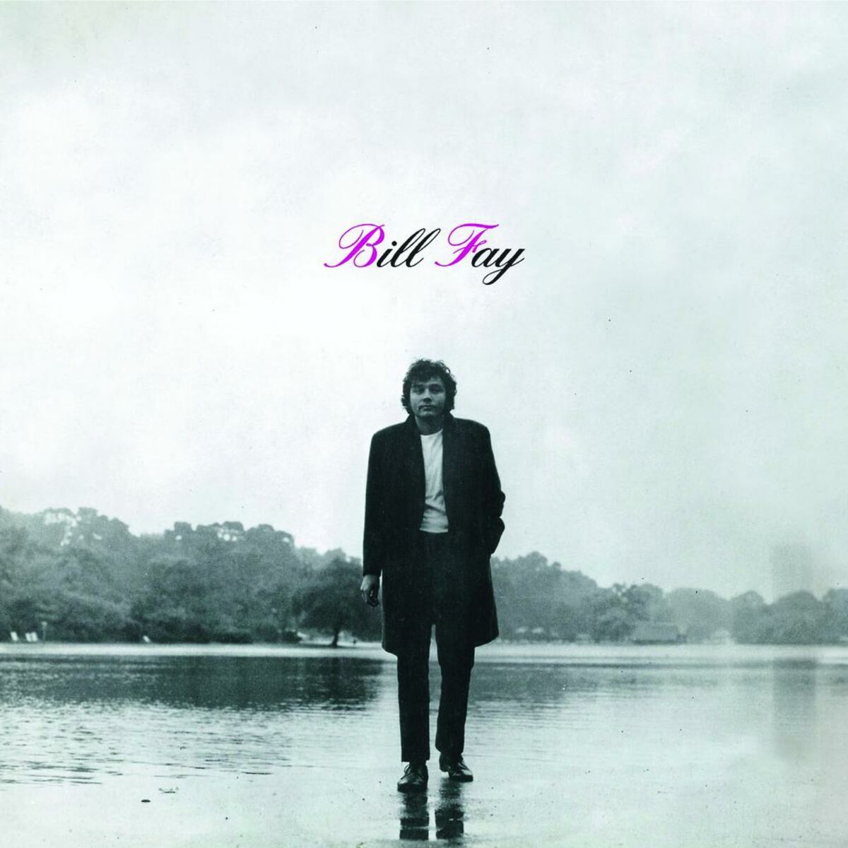 Album cover of Bill Fay