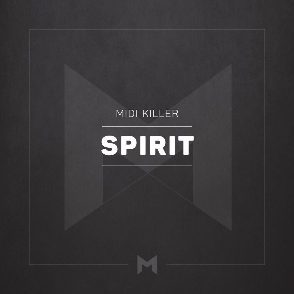 Picture of Spirit