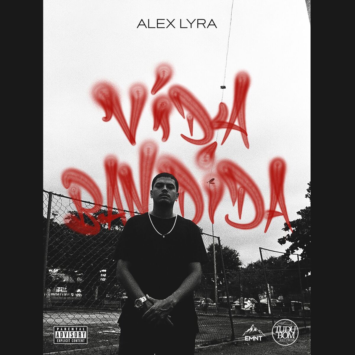 Album cover of Vida Bandida