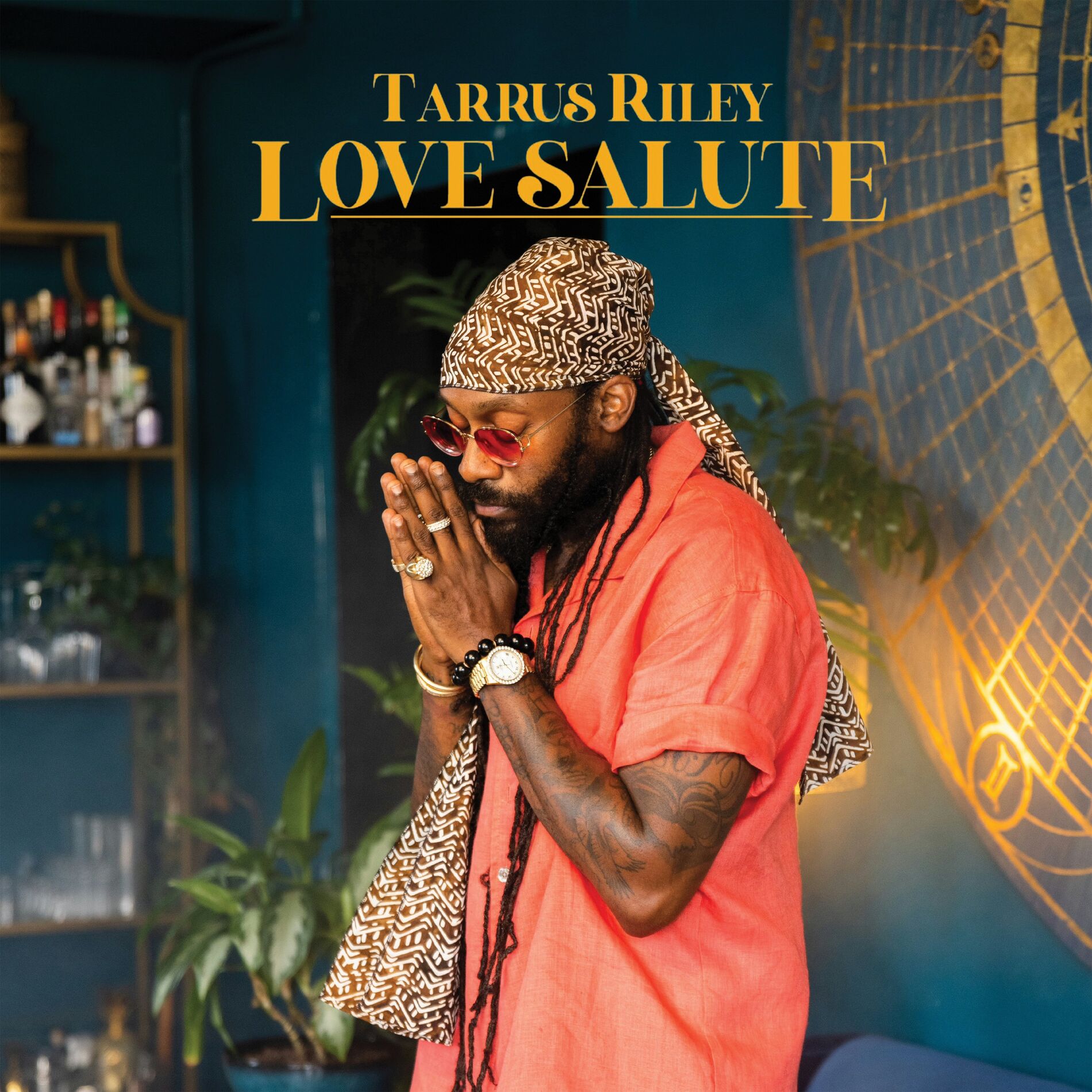 Album cover of Love Salute