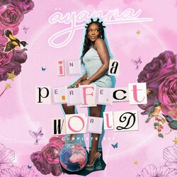 Cover of In A Perfect World (Complete Set)
