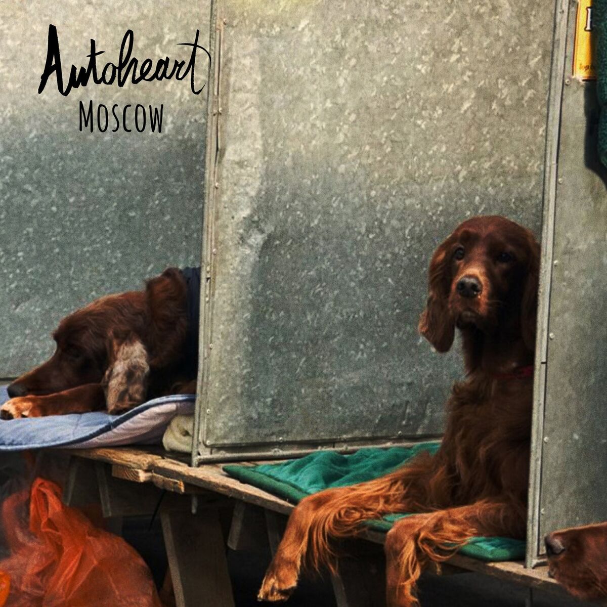 Album cover of Agoraphobia
