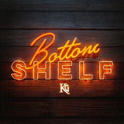 Cover of Bottom Shelf