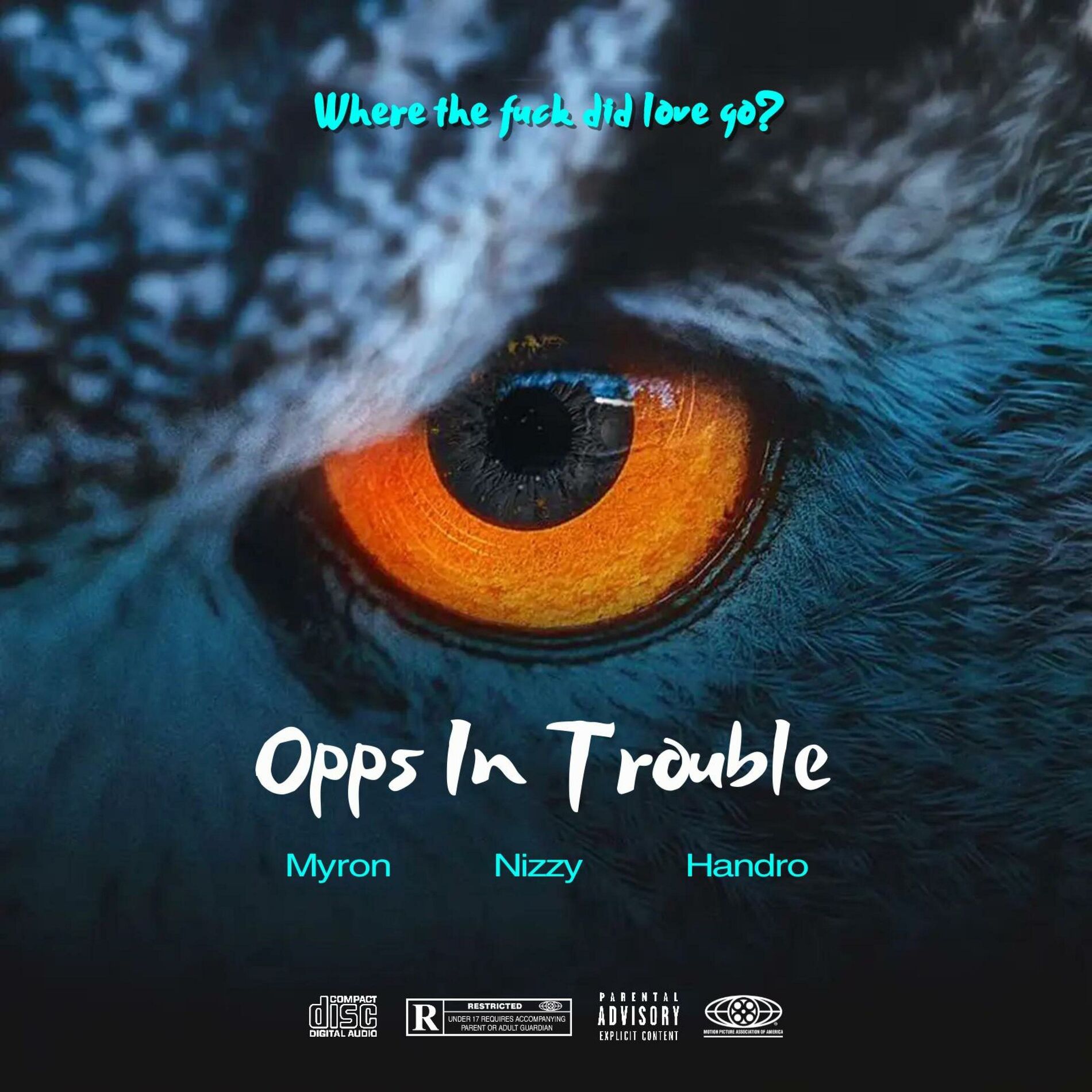 Album cover of Opps In Trouble (feat. Nizzy & Handro)