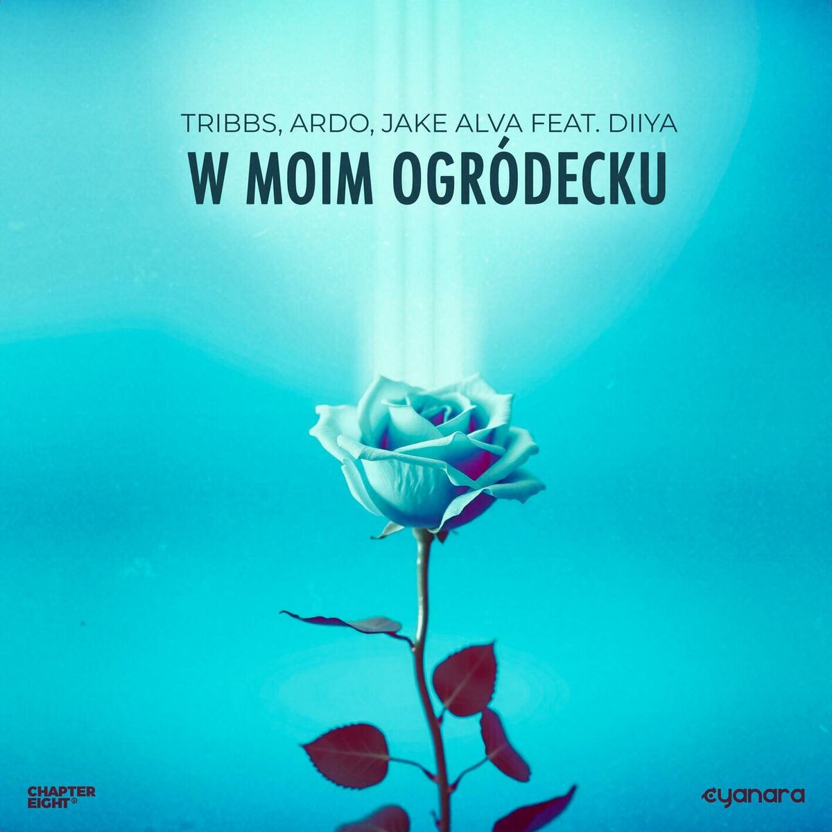 Album cover of W Moim Ogródecku (feat. Diiya)