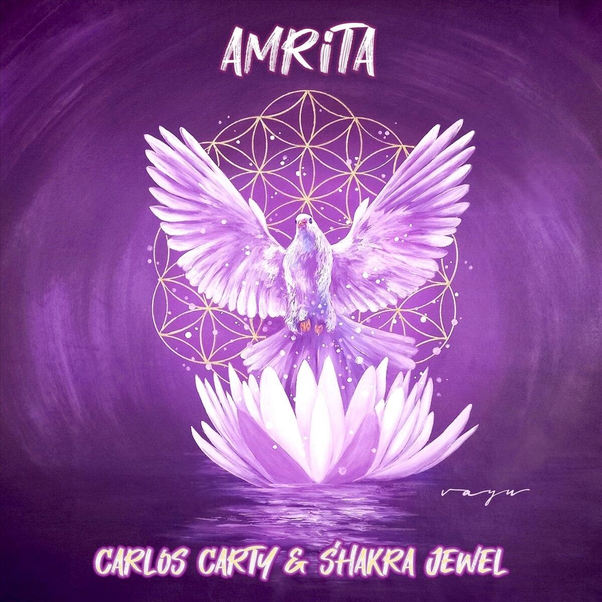 Album cover of Amrita