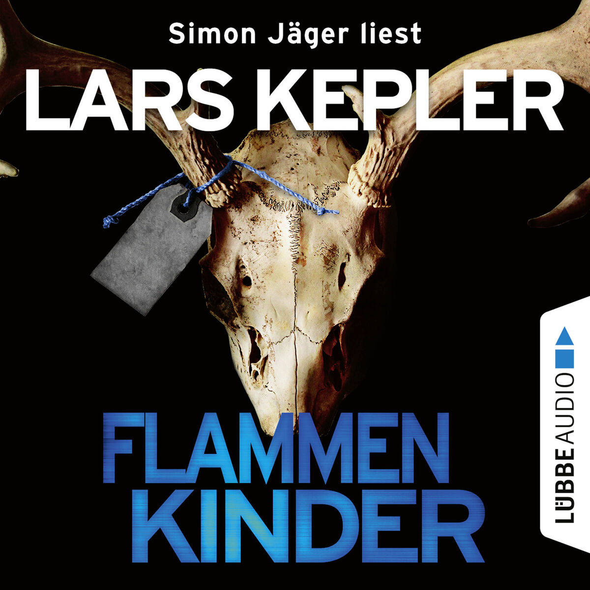 Album cover of Flammenkinder - Joona Linna, Teil 3, Kapitel 1