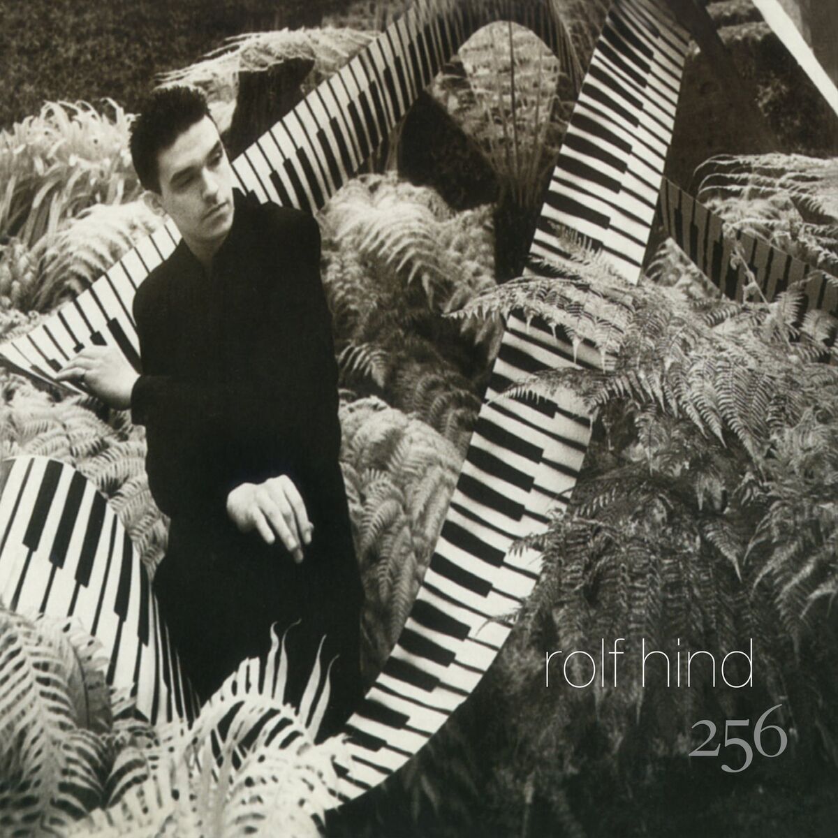 Album cover of 256
