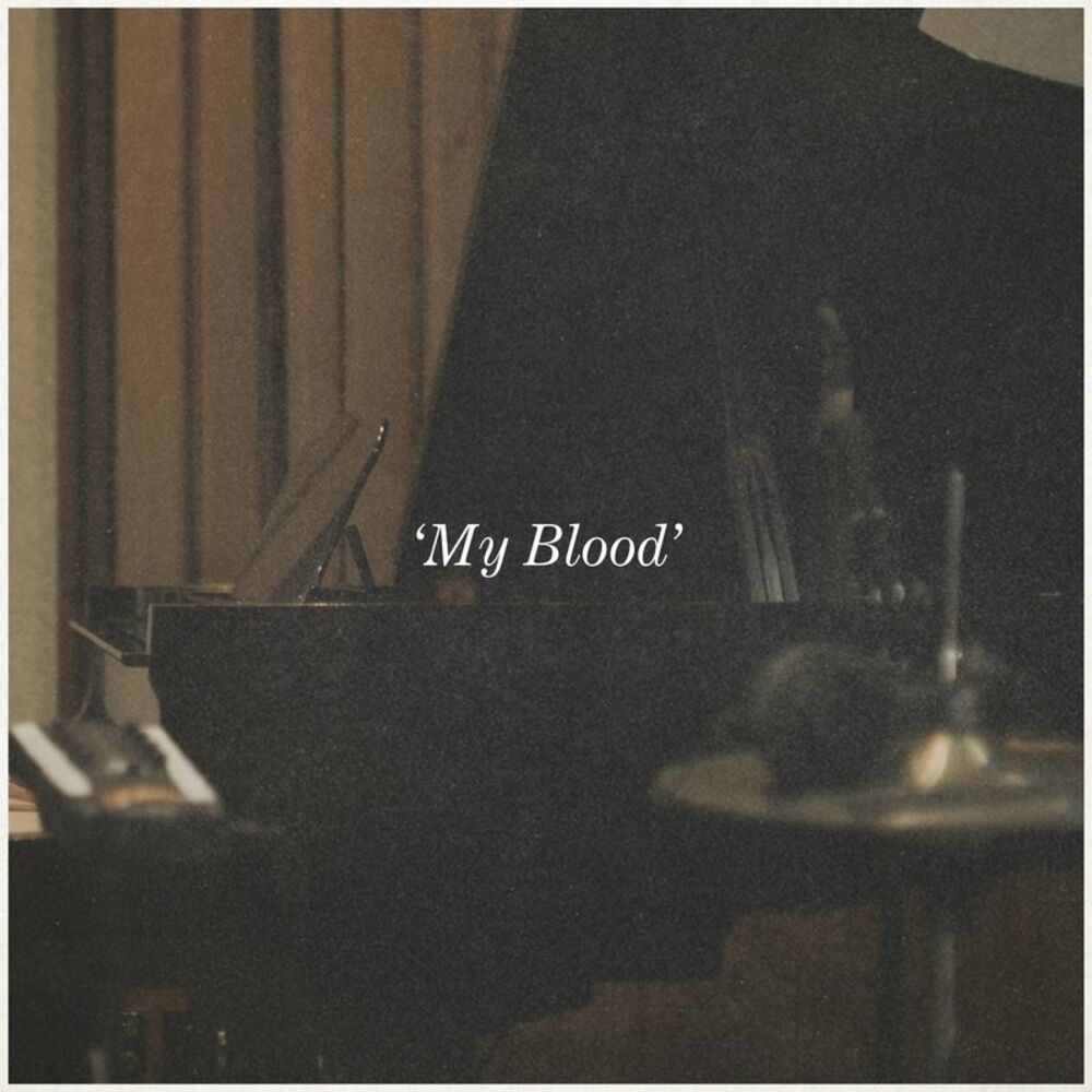 Picture of My Blood (Album Version)