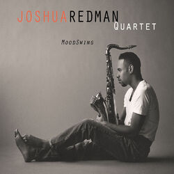 Cover of MoodSwing