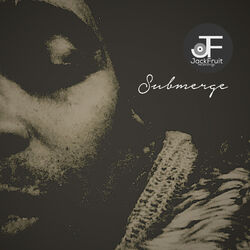 Cover of Submerge