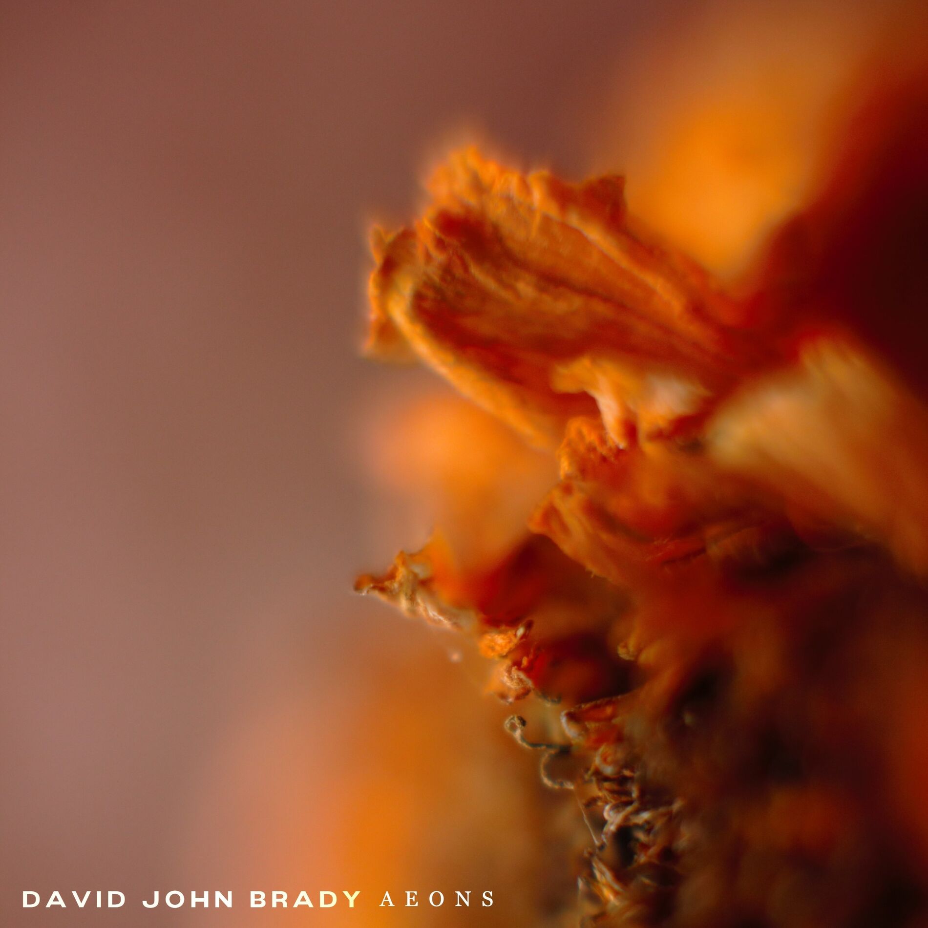 Album cover of Aeons