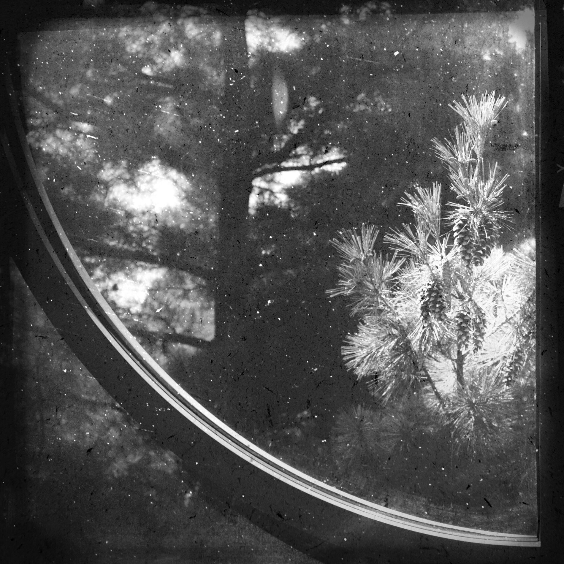 Album cover of Circular