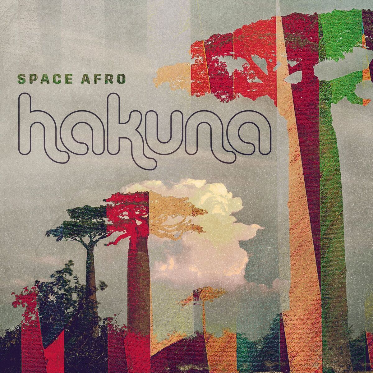 Album cover of Hakuna
