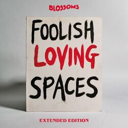 Cover of Foolish Loving Spaces (Extended Edition)