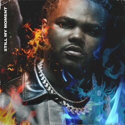Cover of Still My Moment