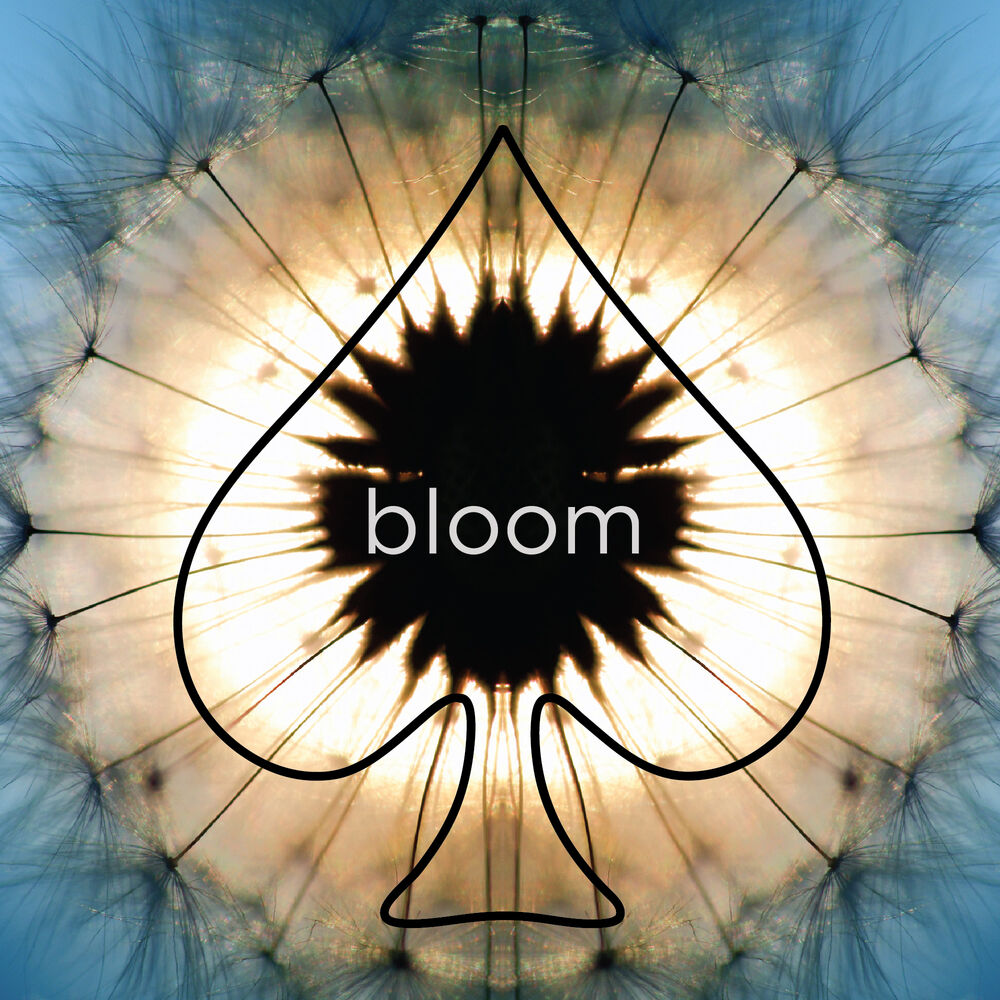 Picture of Bloom