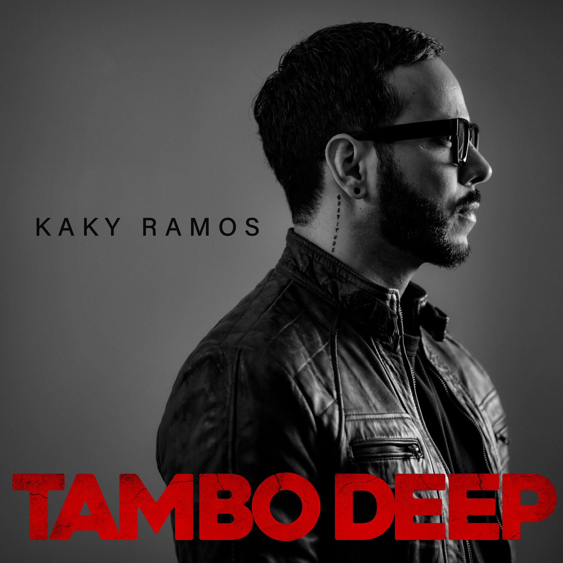Album cover of Tambo Deep
