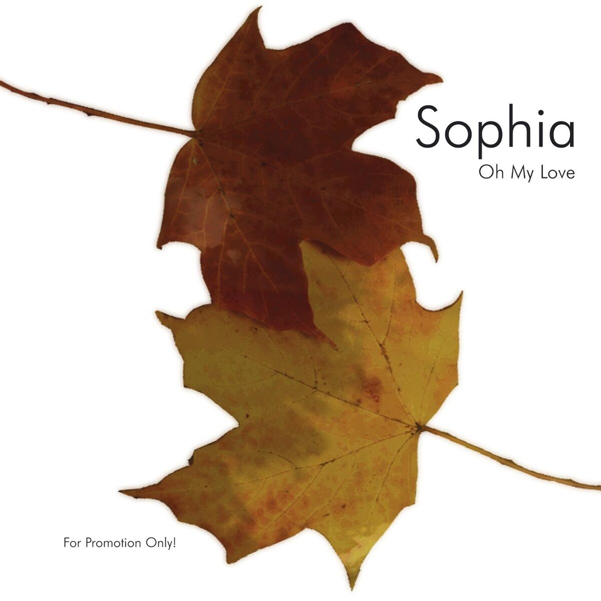 Album cover of Oh My Love
