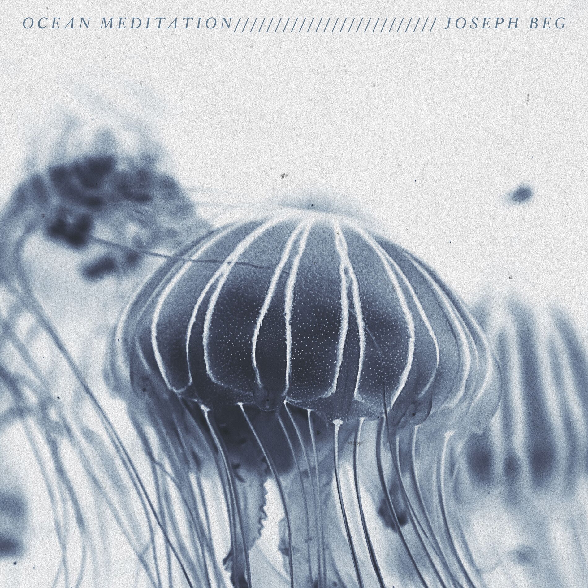 Album cover of Ocean Meditation