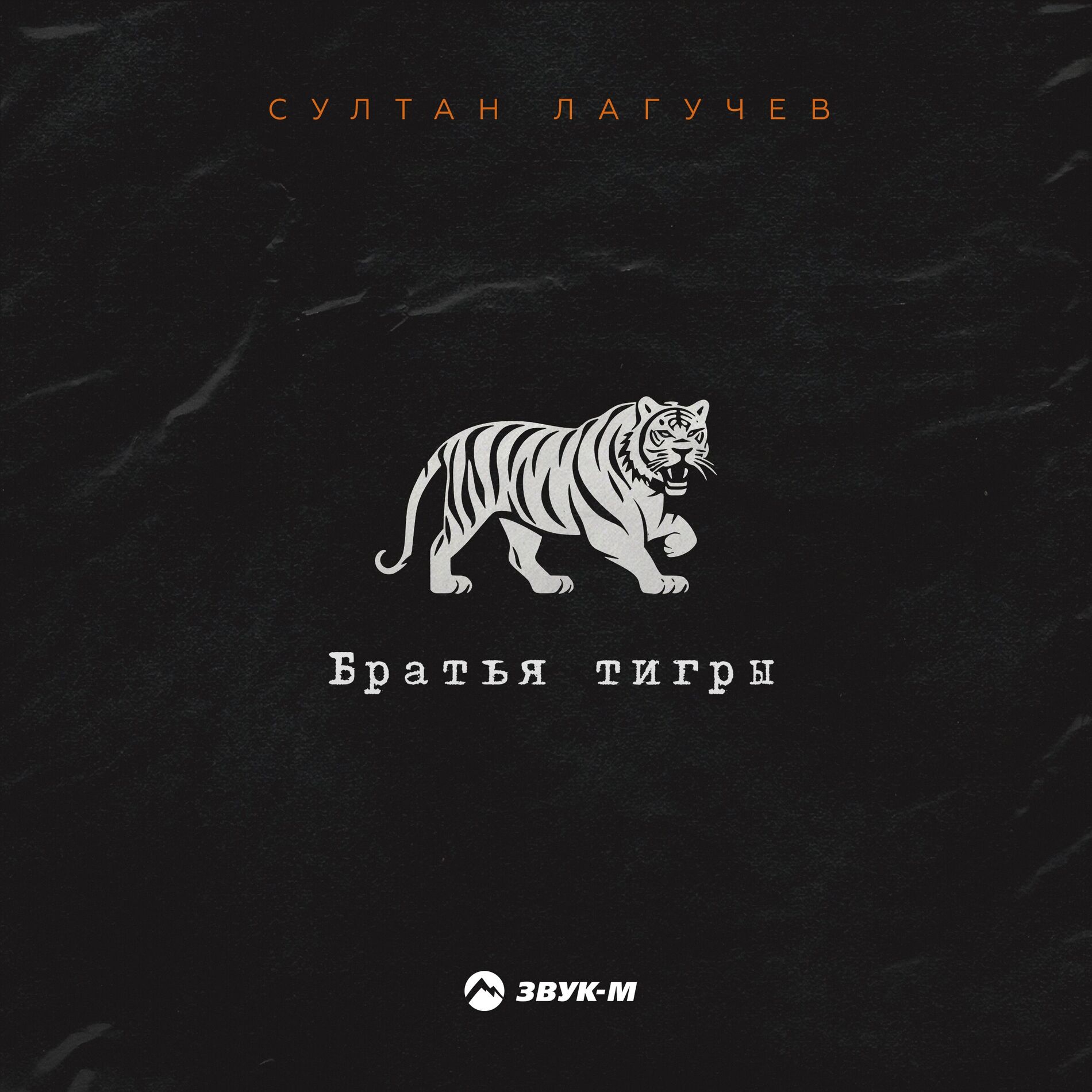 Album cover of Братья тигры