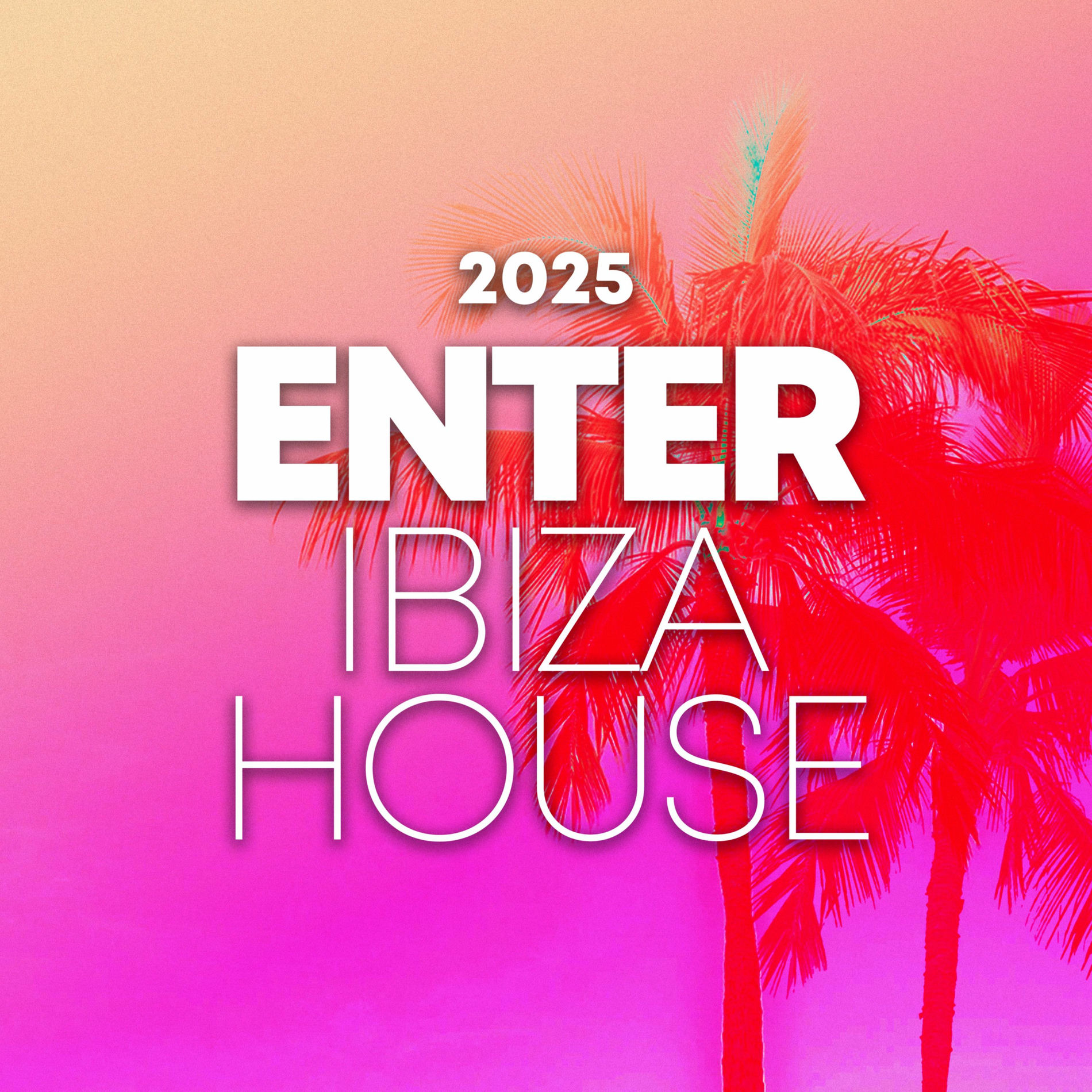 Album cover of Enter Ibiza House 2025