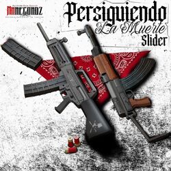 Cover of Persiguiendo la Muerte