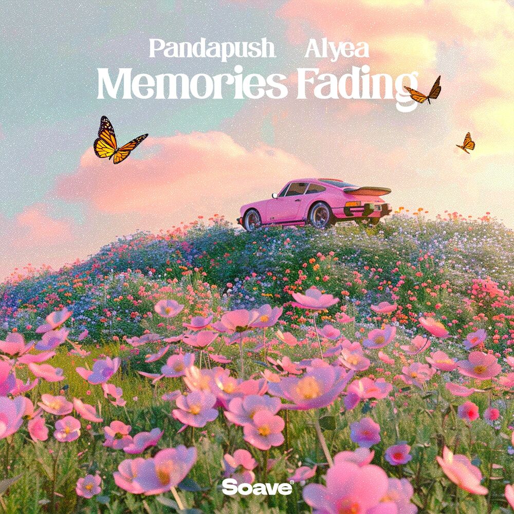 Picture of Memories Fading