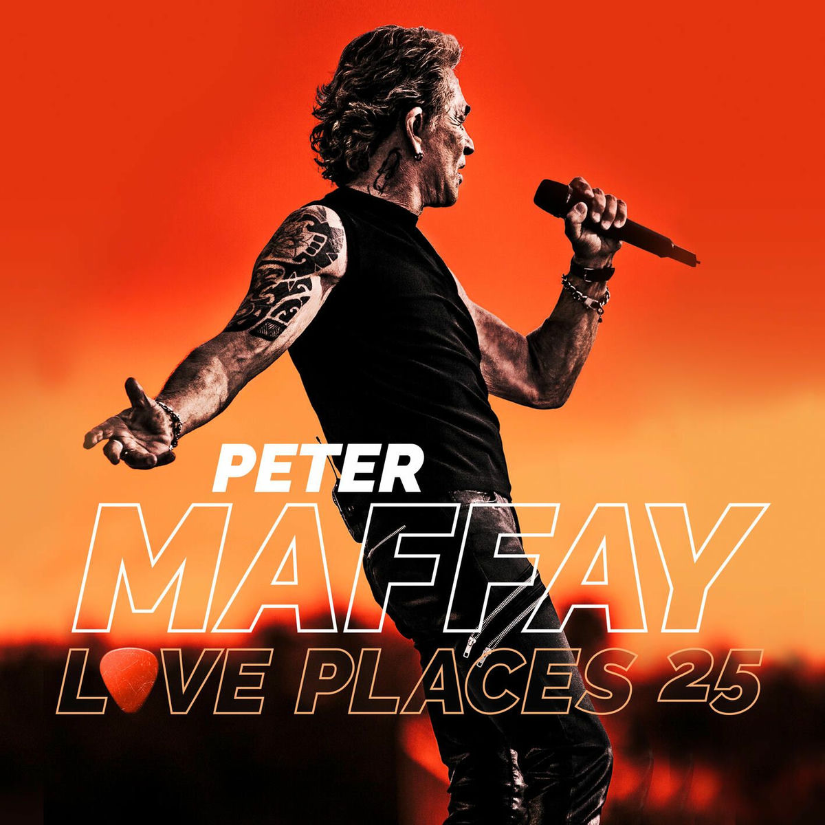 Album cover of Love Places 25